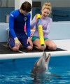dolphins tale poster.jpg
